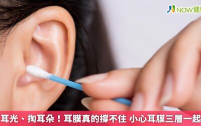 打耳光、掏耳朵！耳膜真的撐不住 小心耳膜三層一起破