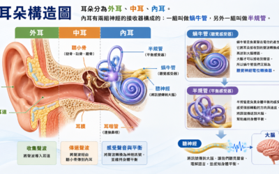 耳鳴與頭暈問題 耳鳴眩暈