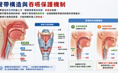 喉嚨與聲音問題